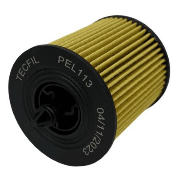 Filtro de Óleo Tecfil PEL113